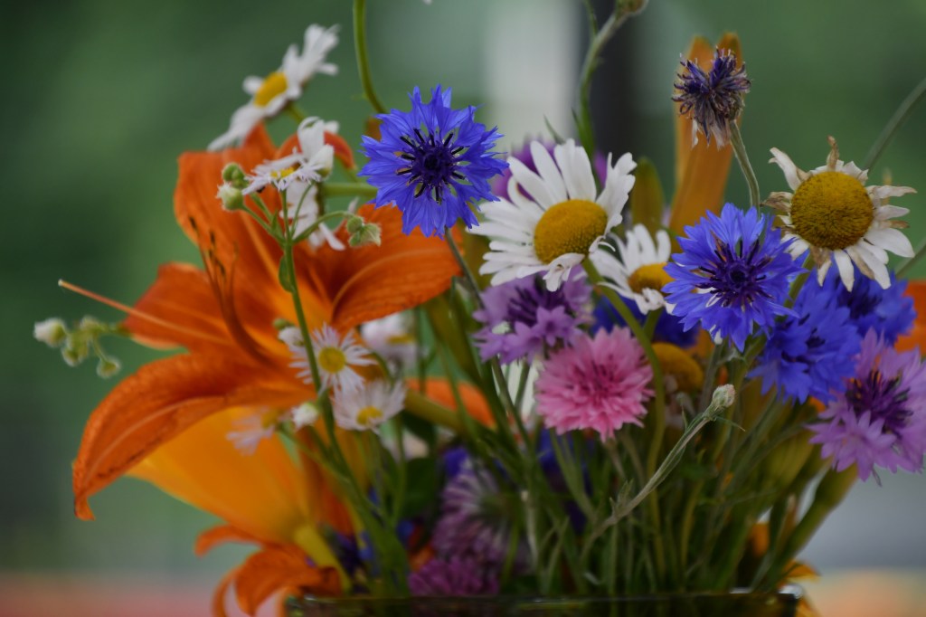 Flowers left by Harry Edwards in a healing circle.